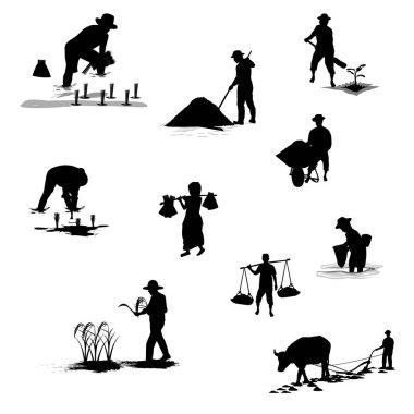 Pirinç tarlasında çalışan çiftçiler