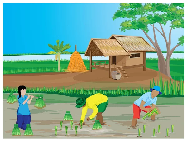 Farmers Cultivating Rice Village — 스톡 벡터