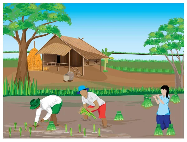 Farmers Cultivating Rice Village — 스톡 벡터