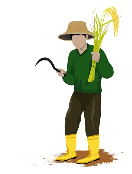 畑にフックで稲を収穫する農家 — ストックベクタ
