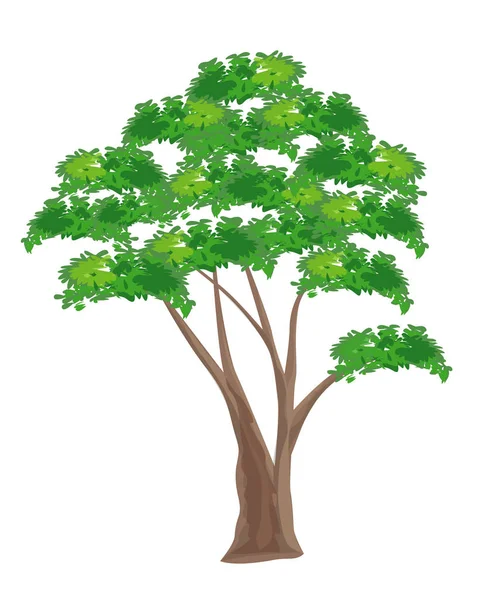 Albero Verde Isolato Bianco — Vettoriale Stock