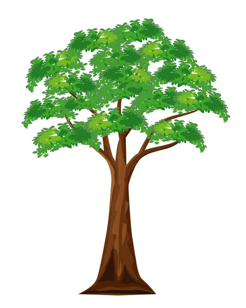 Πράσινο Δέντρο Απομονωμένο Λευκό — Διανυσματικό Αρχείο