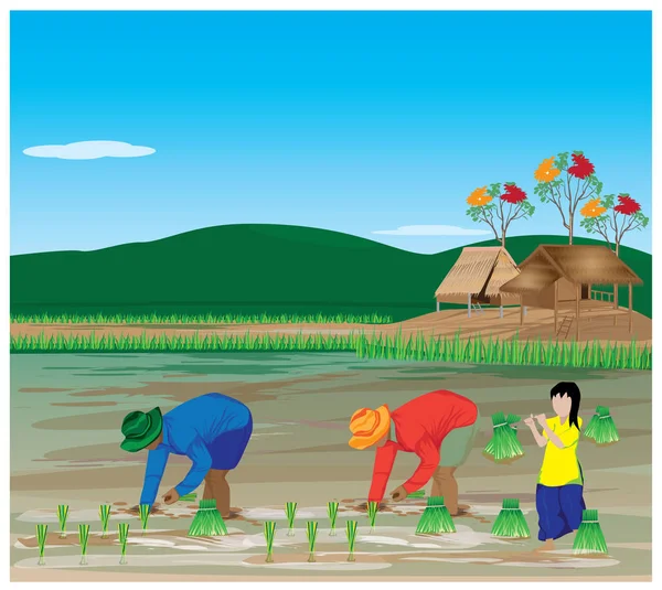 Farmers Cultivating Rice Village — 스톡 벡터