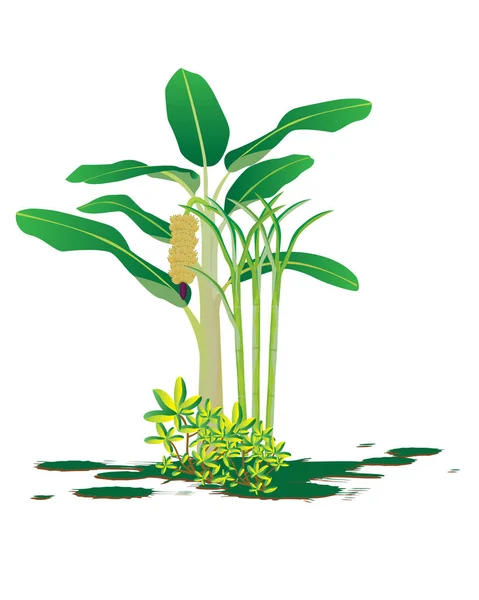 Plants Growing White Background - Stok Vektor