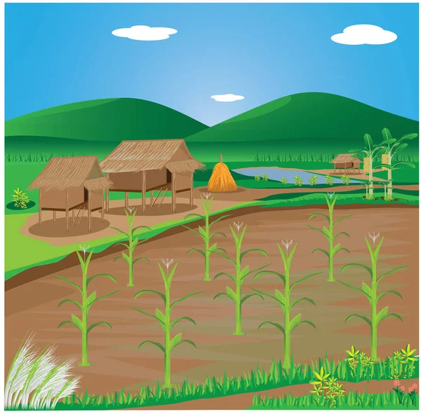 Belle Vue Sur Village Rural — Image vectorielle