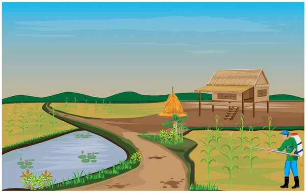 Agriculteur Pulvérisation Plants Maïs Dans Village — Image vectorielle