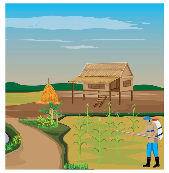 Agricultor Pulverización Plantas Maíz Aldea — Vector de stock