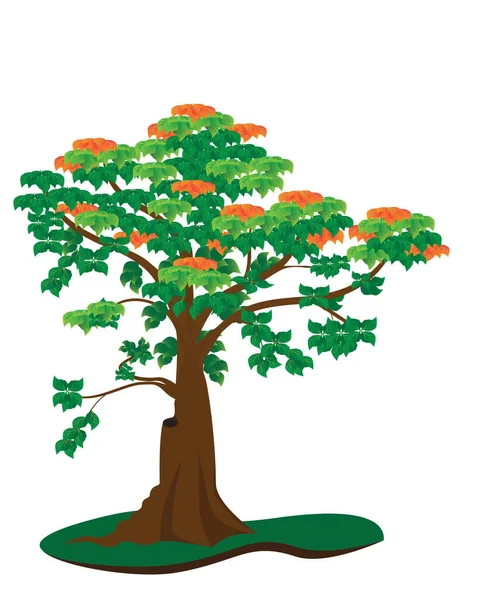 Belo Desenho Vetorial Árvore — Vetor de Stock