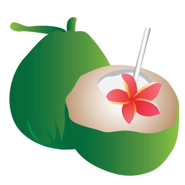 Aperatif hindistan cevizi vektör tasarımı