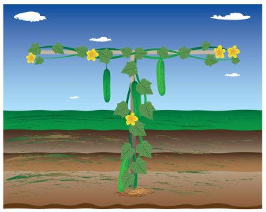 tarımsal çiftçi renk vektör tasarımı teması
