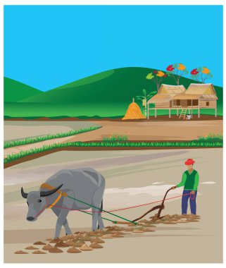 tarımsal renk vektörü tasarımı teması