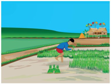 tarımsal renk vektörü tasarımı teması