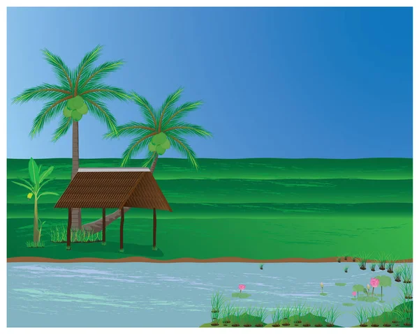Vektorová Ilustrace Tropické Pláže — Stockový vektor