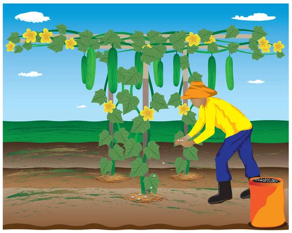 Agriculture Agriculteur Couleur Vecteur Design Thème — Image vectorielle