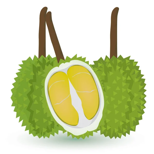 Durian Vector Ontwerp Illustratie — Stockvector