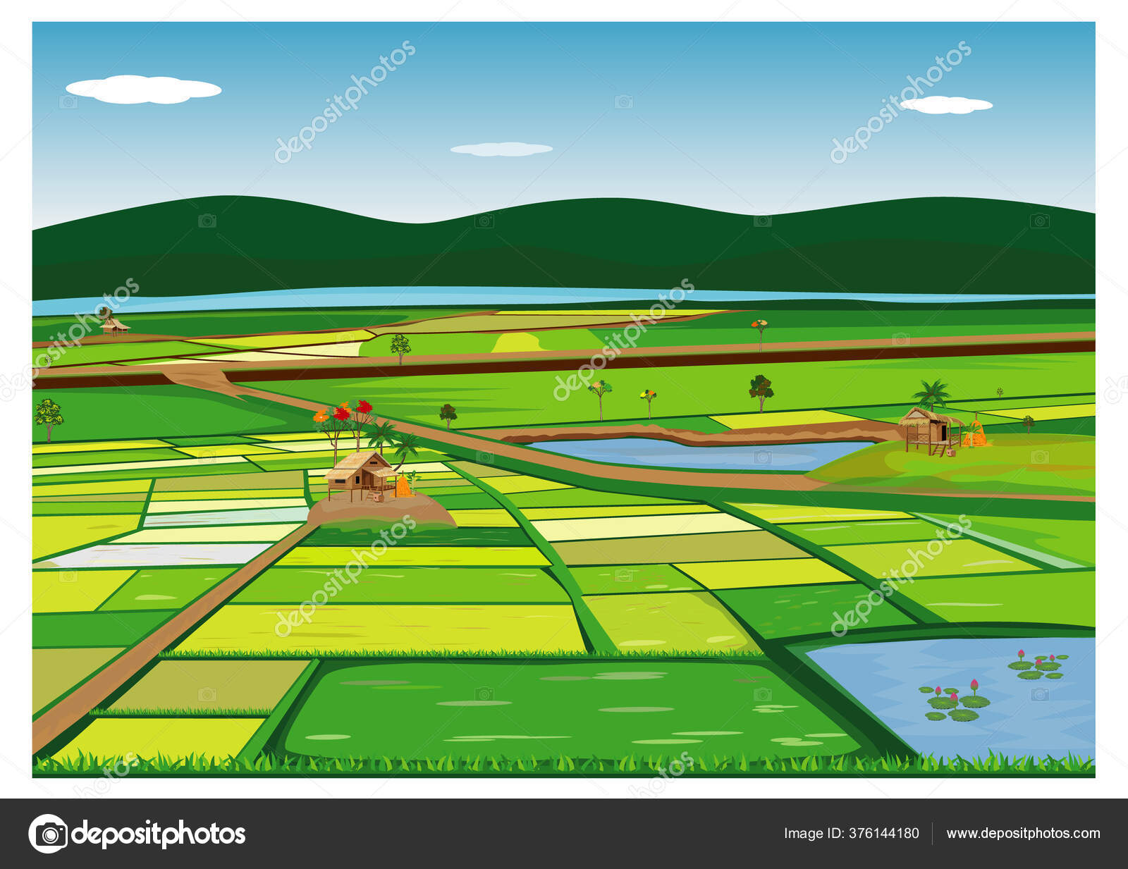 Large Paddy Field Vector Design Stock Vector Image by ©phoopanotpics #376144180 Large Paddy Field Vector Design Stock Vector Image by ©phoopanotpics #376144180