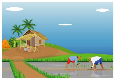 İnsanlar pirinç yetiştiriyor, vektör illüstrasyonu 