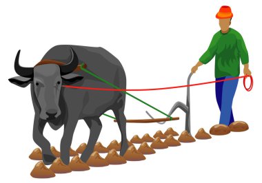 Tarlada boğa ve çiftçi