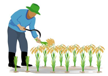 yalnız çiftçi hasat pirinç taşıyıcı tasarımı