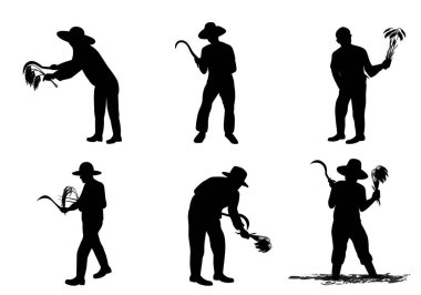 Siluet çiftçisi pirinç taşıyıcı tasarımı hasat etti