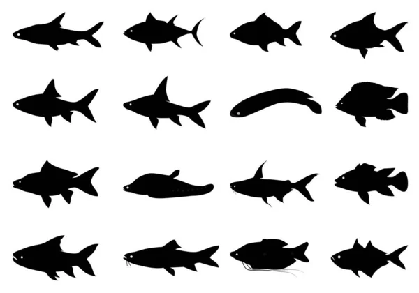 Balık Deniz Hayvanlarının Vektör Çizimi — Stok Vektör