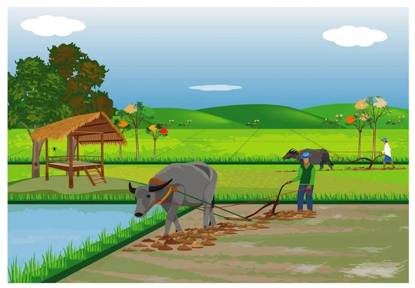 Ilustracja Wektorowa Zwierząt Gospodarskich Rolników — Wektor stockowy