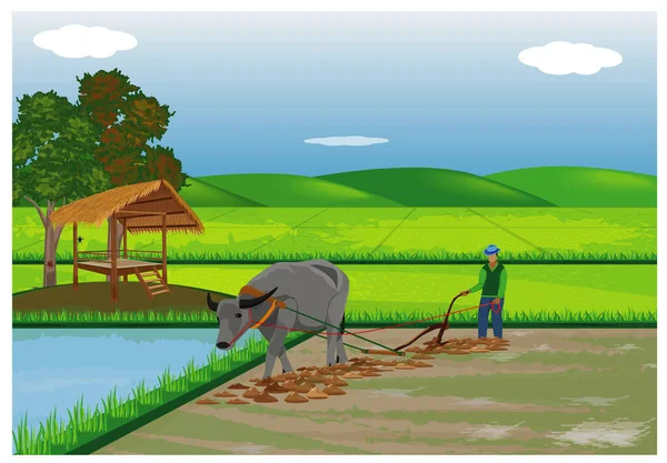 Ilustração Vetorial Animais Fazenda Agricultor —  Vetores de Stock
