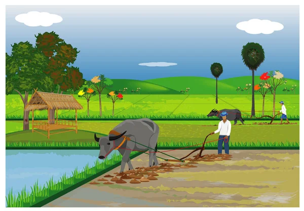 Ilustracja Wektorowa Zwierząt Gospodarskich Rolników — Wektor stockowy