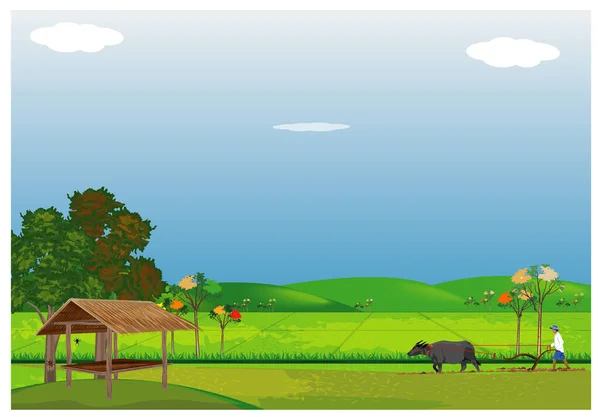 Векторная Иллюстрация Сельскохозяйственных Животных Фермеров — стоковый вектор