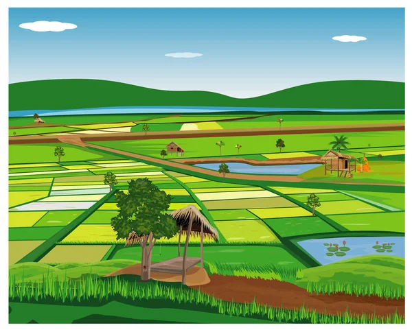 Farm Fields Vector Illustration — Stock Vector