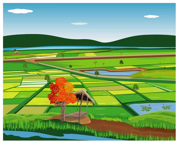 Farm Fields Vector Illustration — Stock Vector