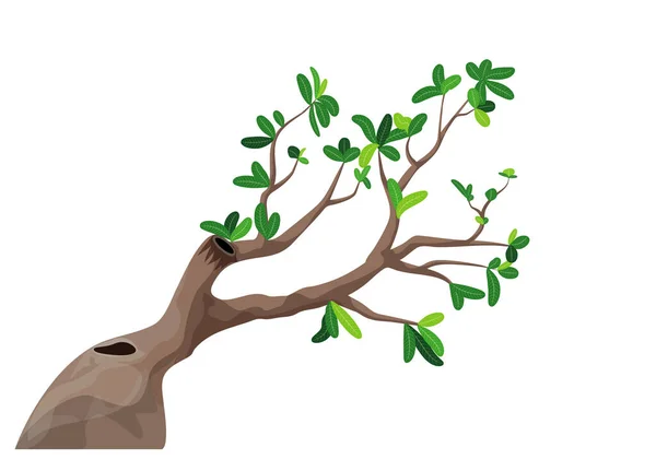 Ilustración Árbol Con Hojas Verdes — Vector de stock