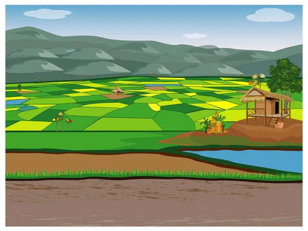 Paisaje Rural Con Campos Colinas — Vector de stock