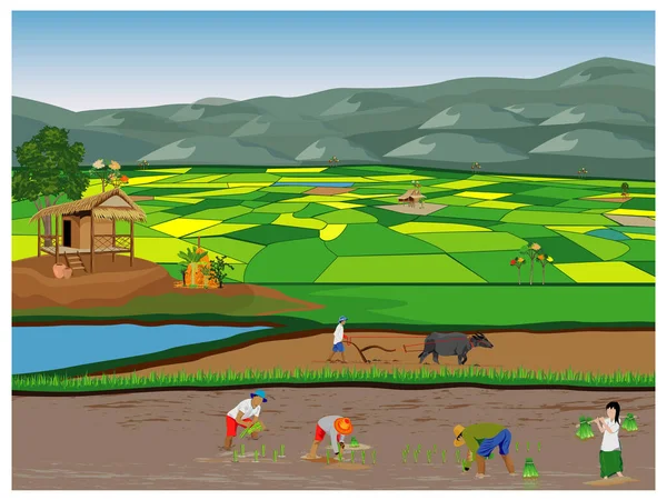 Векторная Иллюстрация Фермерской Сцены — стоковый вектор
