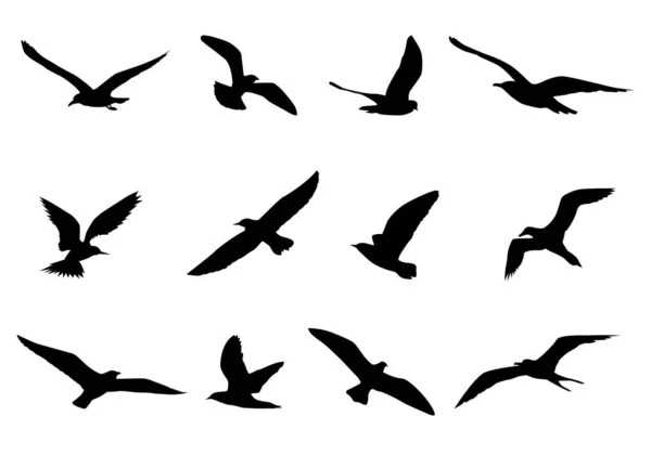 Vector Set Birds White — Stock Vector