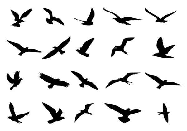 Vector Illustration Flock Birds — Stock Vector