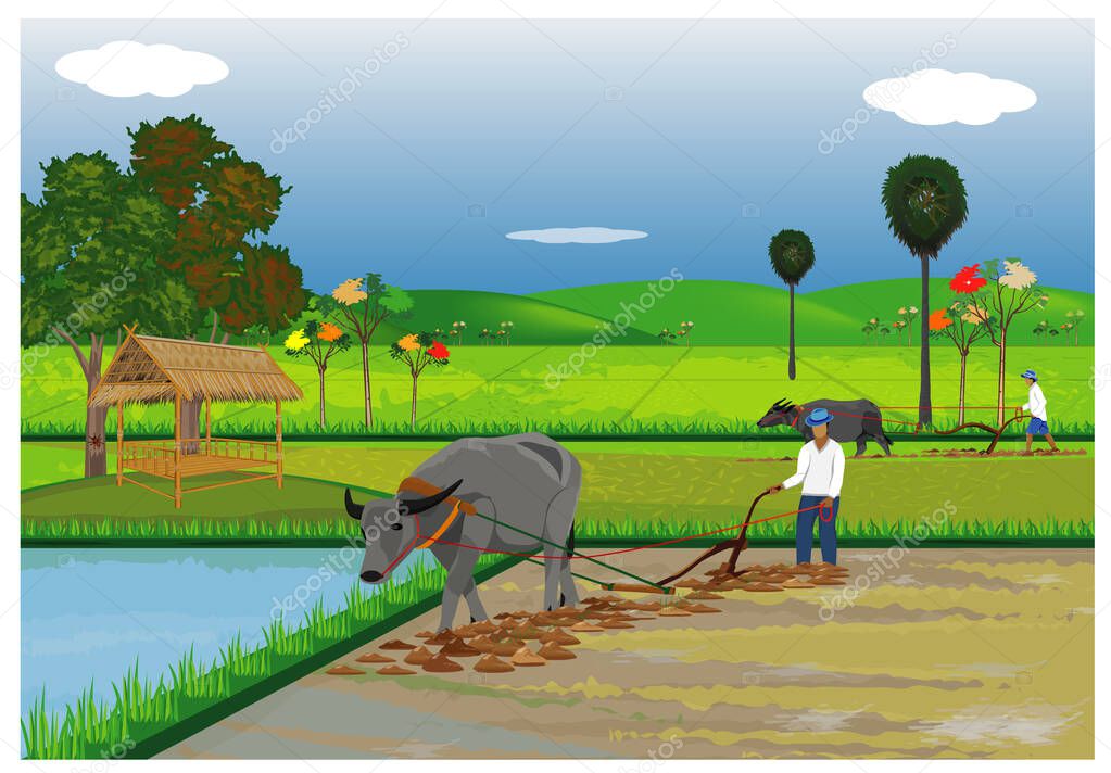 vector illustration of farm animal and farmers