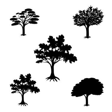 Ağaçların ve bitkilerin siyah siluetleri.