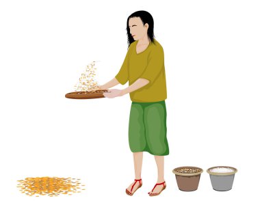 Buğdaylı genç bir kadının vektör çizimi