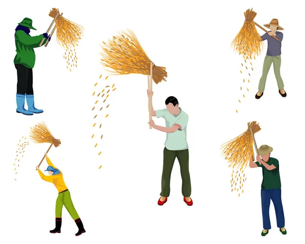 农民捣碎水稻病媒设计 — 图库矢量图片