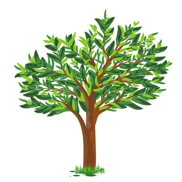 Yeşil Yapraklı Bir Ağacın Vektör Çizimi — Stok Vektör