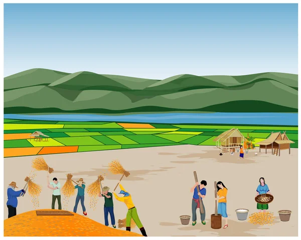 Ensemble Personnes Agriculteurs Illustration Vectorielle — Image vectorielle