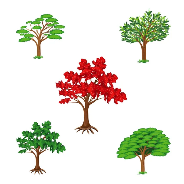 Ağaçlar ve yapraklar. vektör illüstrasyonu