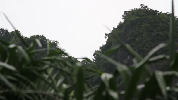 Bergen op de achtergrond van een tropische regen. Ao Nang, Thailand — Stockvideo