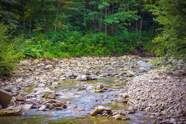 Rough mountain river among the forest and stones