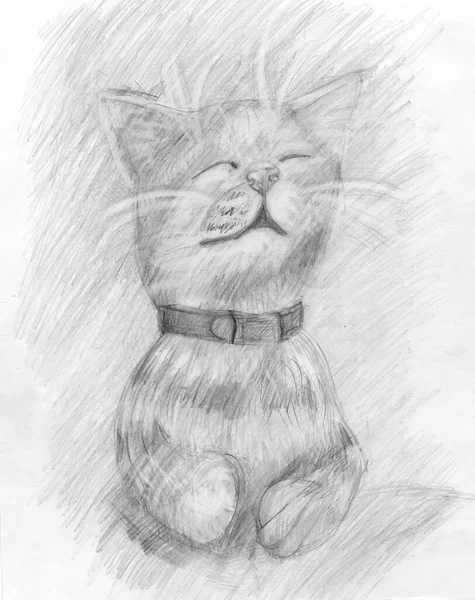 el boyaması içerikli kedi