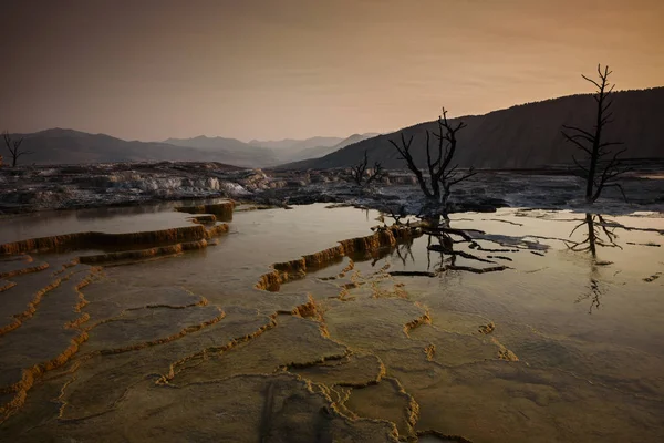 Mammoth Terrace Sunrise Yellowstone — Stock Photo, Image