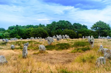 Brittany 'de Carnac yakınlarında Menhirs