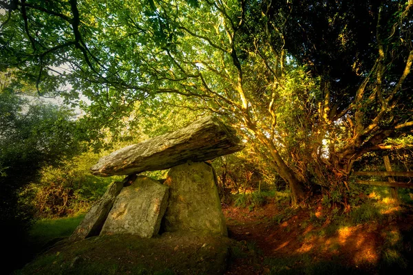 Gaulstone dolmen coloca sob as árvores — Fotografia de Stock