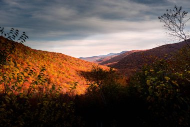 Sonbahar mevsiminde ormandaki beyaz dağlar gölgelenir.